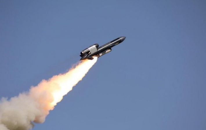 ОАЭ планируют купить долю производителя ракет "Фламинго" Fire Point