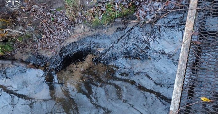 В Винницкой области произошла экологическая авария: мазут загрязнил Ладыжинское водохранилище