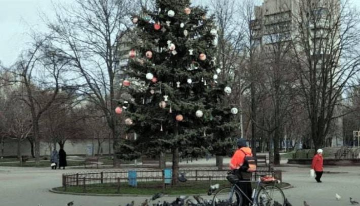 В Запорожье вандалы обокрали праздничную елку: что сделали ответные горожане