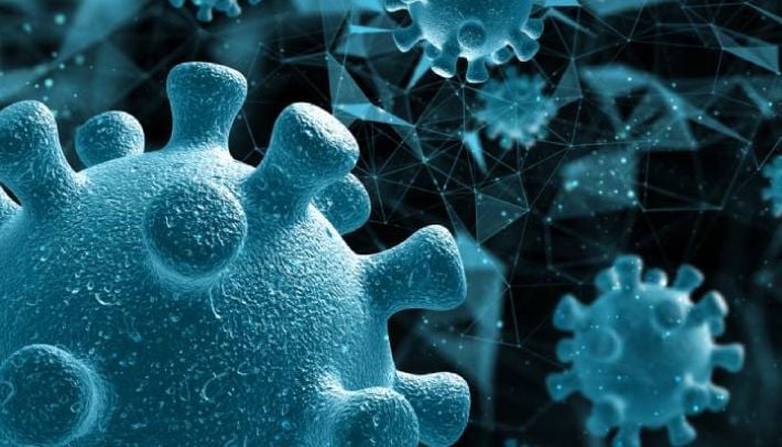 В Запорожье зафиксировали случай нового вируса: чем он опасен