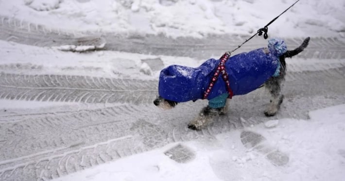 Аномальные морозы ещё вернутся: синоптик назвал сроки нового похолодания