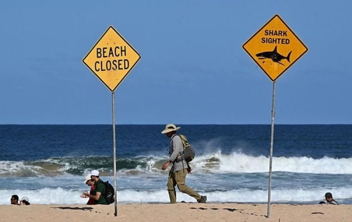 В Австралии умер 12-летний мальчик после нападения акулы