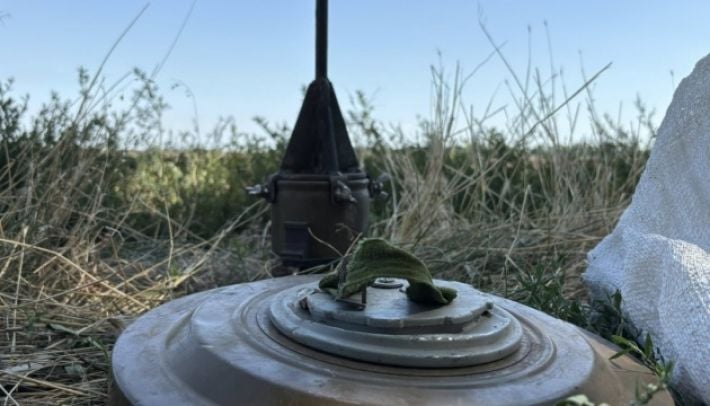 Конец «Оттавской эры»: Польша официально возвращает противопехотные мины в свой арсенал