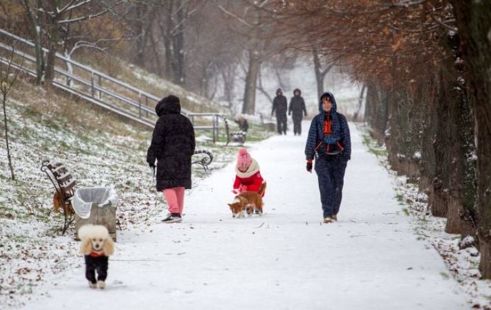 Февральский штурм: южный циклон несет в Украину снегопады, штормовой ветер и гололед