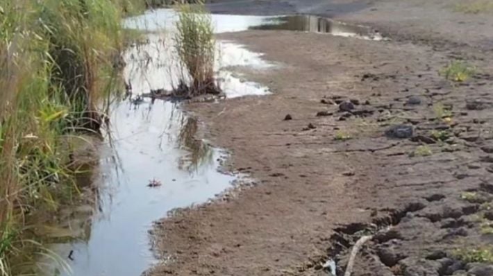 Мелитополь и 17 километров иллюзии: как экскаватор лечит пересохшую реку на камеру