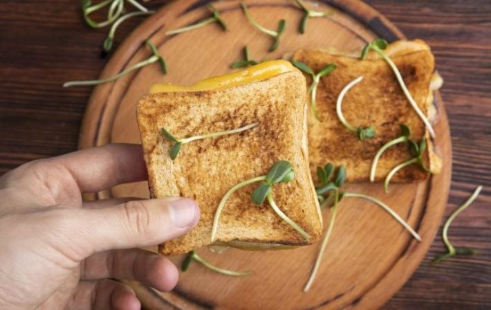 Опасный загар на тарелке: Почему обугленная еда способна повреждать ваши гены