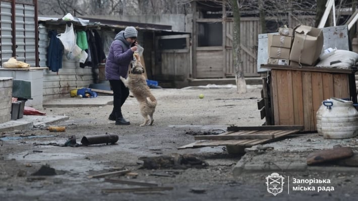 Сотрудники «Запорожьеоблэнерго» помогут восстановить разрушенный приют для животных «Дай лапу, друг»