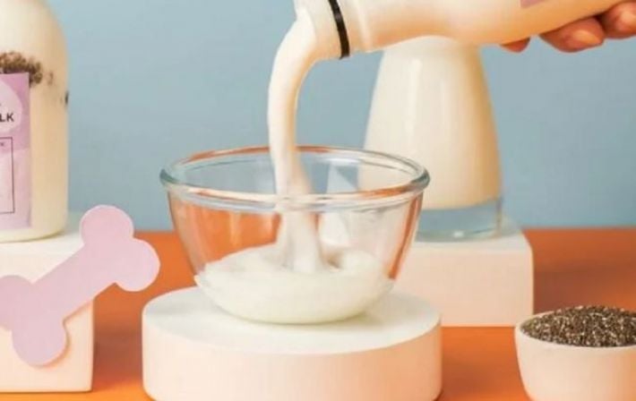 Утро для интеллекта: почему людям после 60 стоит заменить обычную овсянку на кефирный микс