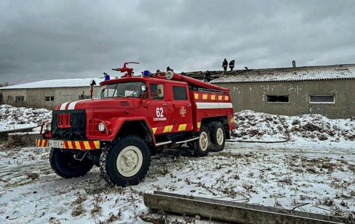 Россияне атаковали ферму на Харьковщине: погибло 100 свиней