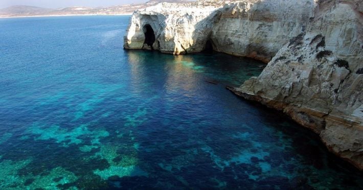 В Средиземном море обнаружили токсичные микроводоросли: может ли ядовитая рыба попасть на ваш стол