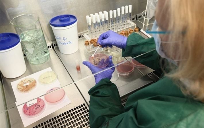 Учёные создали бактерии, способные «съедать» раковые опухоли