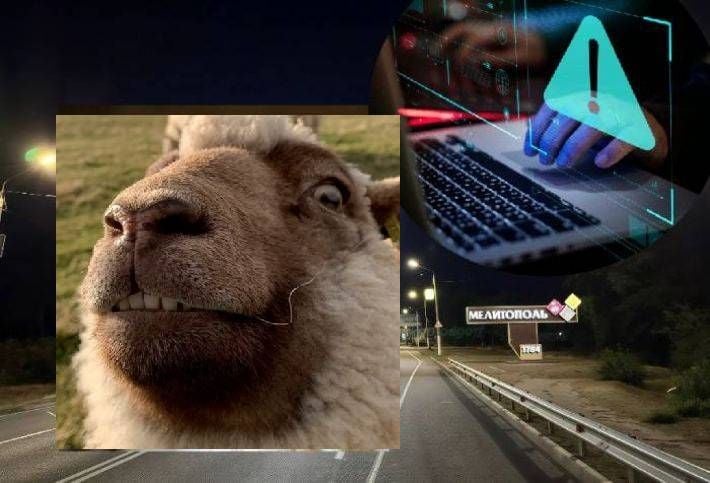 Дорогой «баран»: жительница Мелитополя доверилась незнакомцу и потеряла 170 тысяч рублей