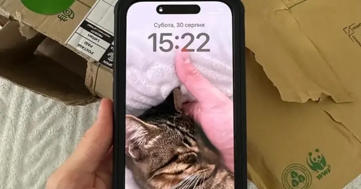 Пользователей некоторых iPhone просят срочно обновить iOS из-за угрозы: что произошло