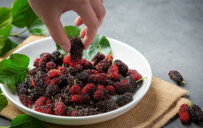 «Медовая терапия» после 50: почему диетологи называют шелковицу ключом к крепкому сердцу и молодости