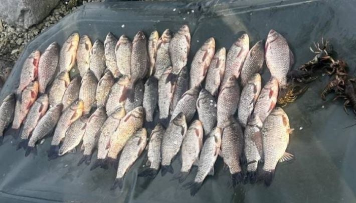 Поймал 47 карасей и 9 раков: в Запорожском районе задержали браконьера, который нанес ущерб на 100 тысяч гривен