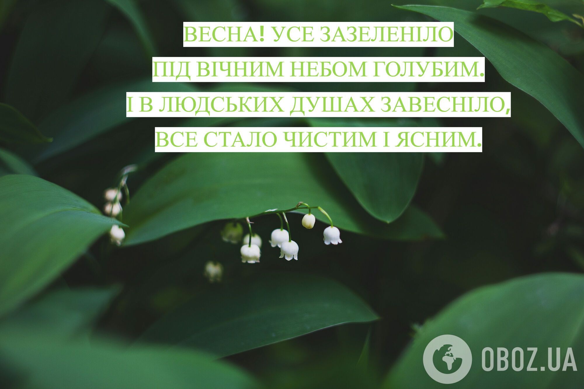 С первым днем весны: поздравления и красивые картинки к 1 марта