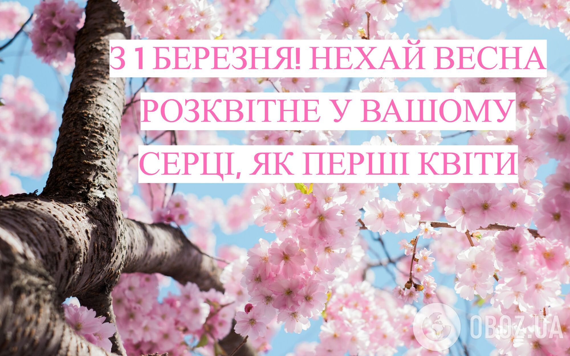 С первым днем весны: поздравления и красивые картинки к 1 марта