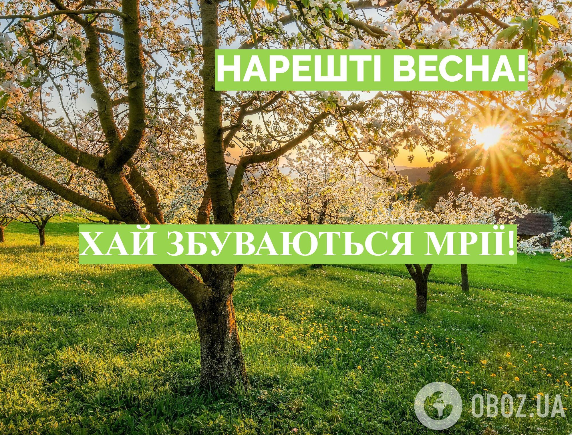 С первым днем весны: поздравления и красивые картинки к 1 марта