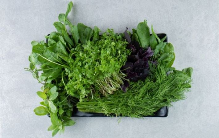 Зеленая аптека на подоконнике: 6 видов трав, которые критически важно добавить в рацион в 2026 году