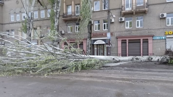 Из-за ветра в Запорожье повалены деревья: ограничено движение на нескольких улицах (фото, видео)
