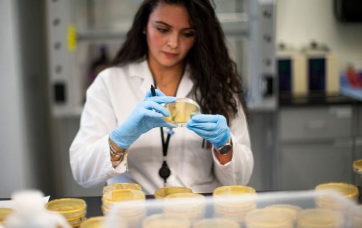 «Цикада» в Украине: зафиксирован первый случай нового субварианта COVID-19