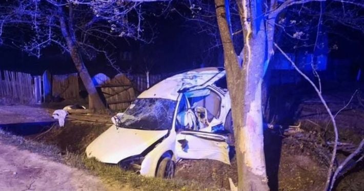 Пьяный водитель врезался в дерево на Житомирщине: погиб 12-летний ребенок