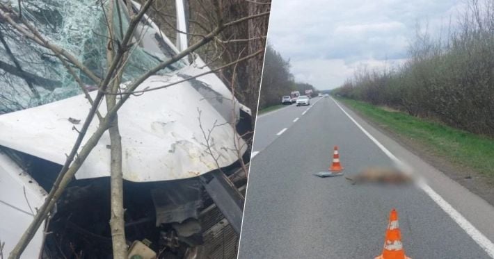 Смертельное ДТП возле Коломыи: водитель погиб после наезда на косулю