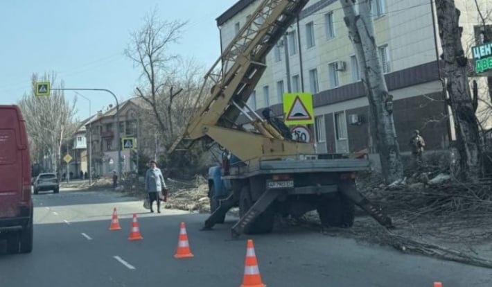 В Мелитополе оккупанты «приговорили» деревья: почему город массово лишается зелёных насаждений