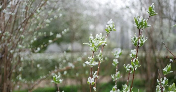 В Украину возвращается похолодание: синоптики предупредили о снеге и новой волне холода