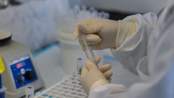 Вакцину против хантавируса разрабатывают годами из-за нехватки финансирования, - NYT