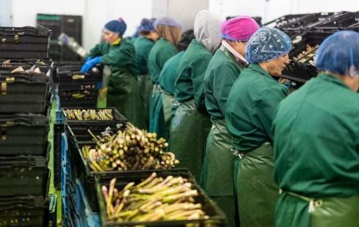 Великое переселение: украинцы массово покидают рынок труда Польши, уступая место мигрантам из Азии