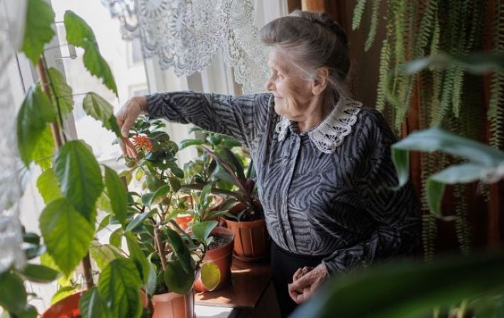 Дистанционно и без очередей: как пенсионеру изменить способ получения выплат через портал ПФУ
