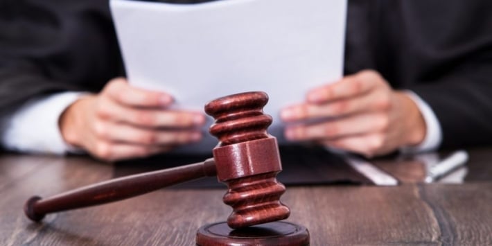 За вырубку деревьев в Запорожском лесничестве государству возместят почти 39 тысяч гривен