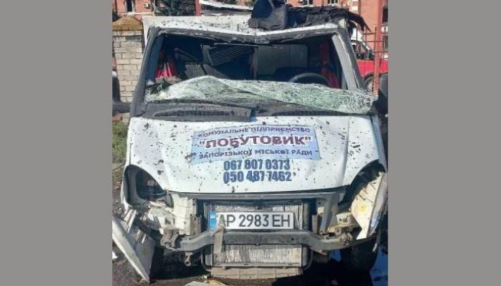 В Запорожье почти остановилась стерилизация бездомных животных: волонтёры просят транспорт