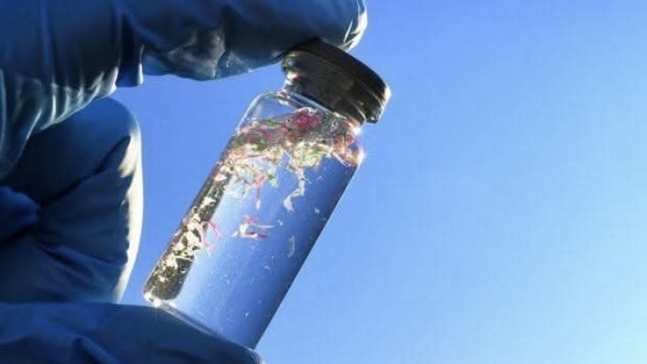 Российские ученые обнаружили в Азовском море синтетические полимеры: экологи объяснили риски